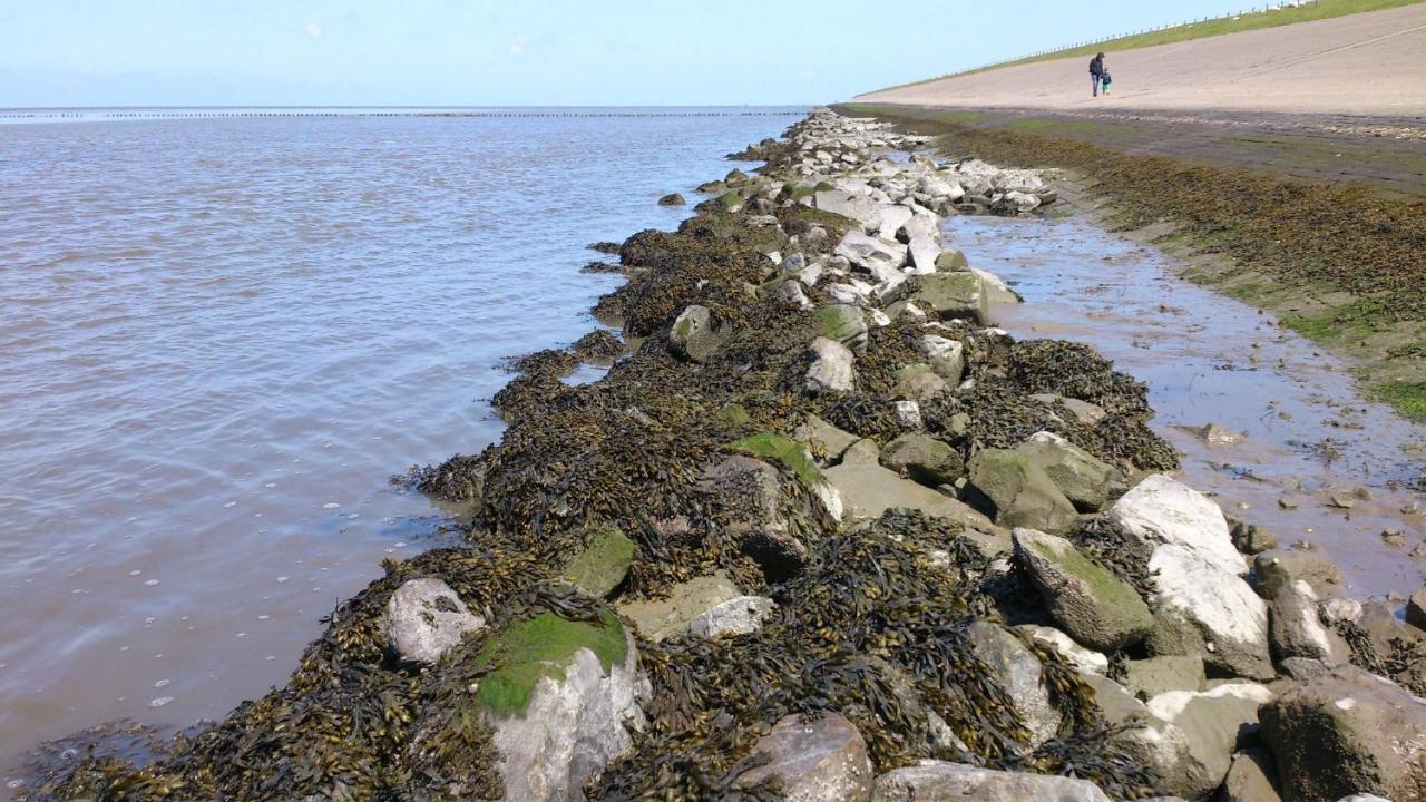 Sea La Vie Villa Lauwersoog Ngoại thất bức ảnh